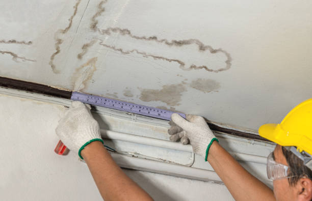 Reliable Basement Water Removal contractor in Horton, KS by Water Damage Irwin